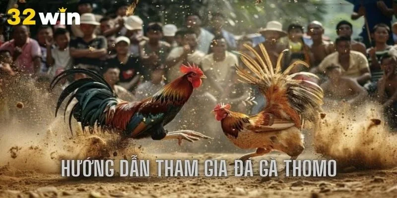 Hướng dẫn tham gia đá gà Thomo tại 23WIN